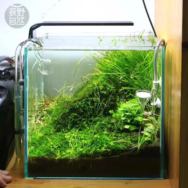 Marine Aquarium Led Lights - Spirituosen C-Serie ADA-Stil Pflanze wachsen LED-Licht