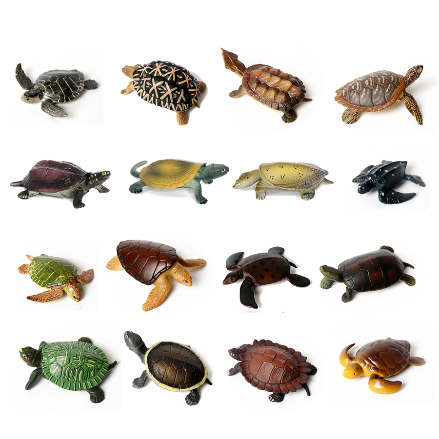 Marine Aquarium & Regional Centre Reviews - Realistische Miniaturen Meeres leben Meeres schildkröte