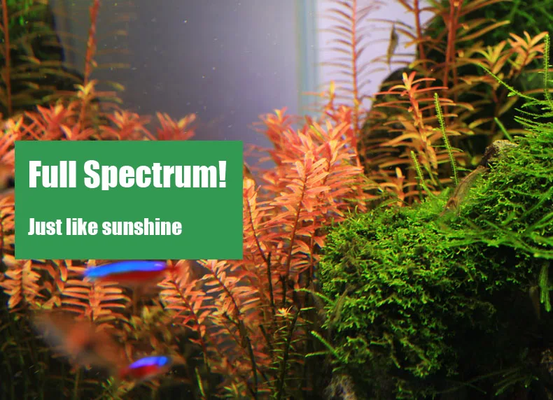 Spirituosen C-Serie ADA-Stil P – Marine Aquarium Led Lights Bewertung und Preis