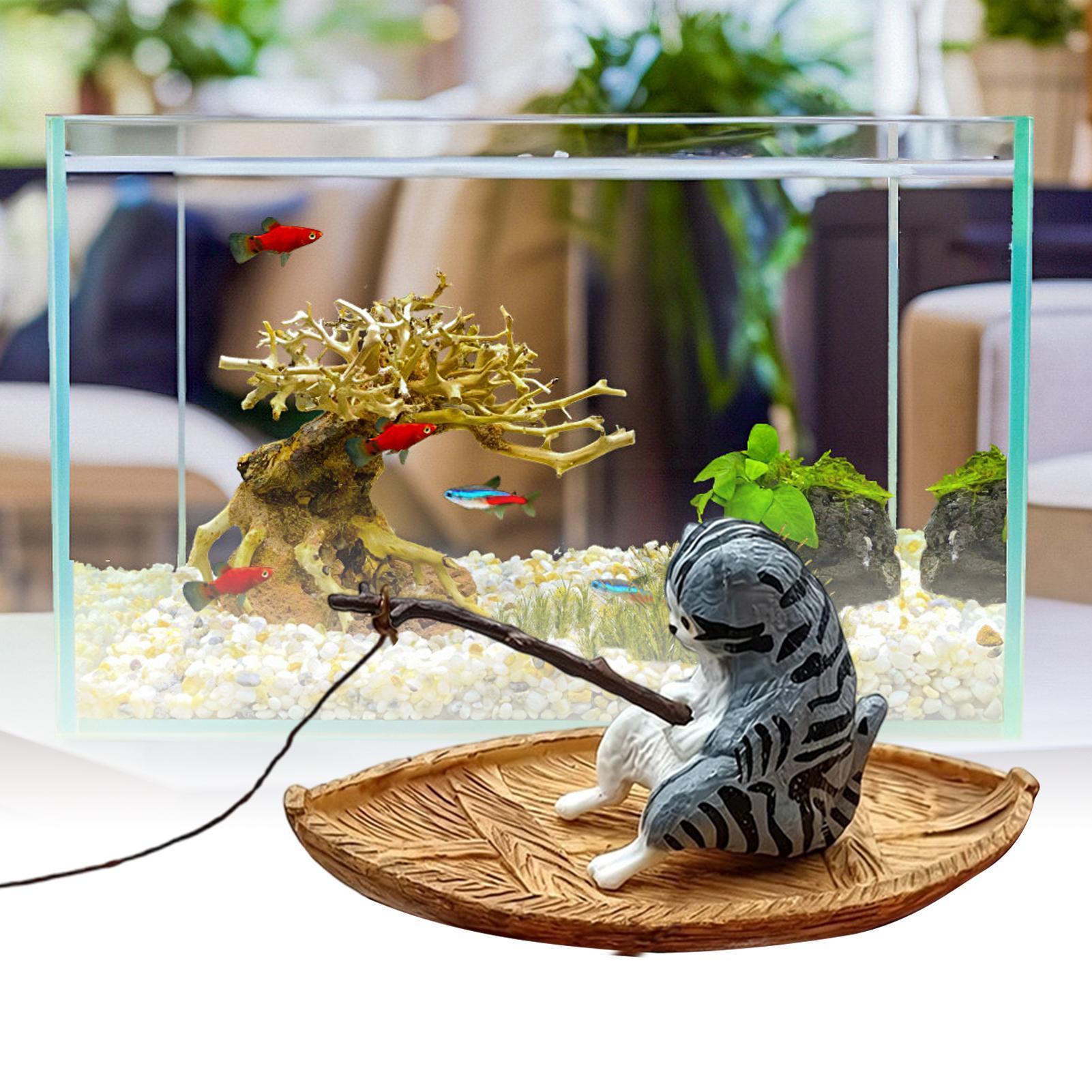 Kreatives Katzen-Angelboot Aqu – Aquarium Marineland Bewertung und Preis