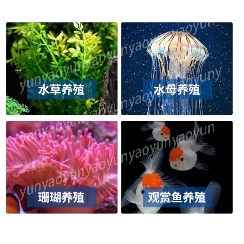 Kleiner Aquarium-Kühler mit Ko – Marine Aquarium Chiller Bewertung und Preis