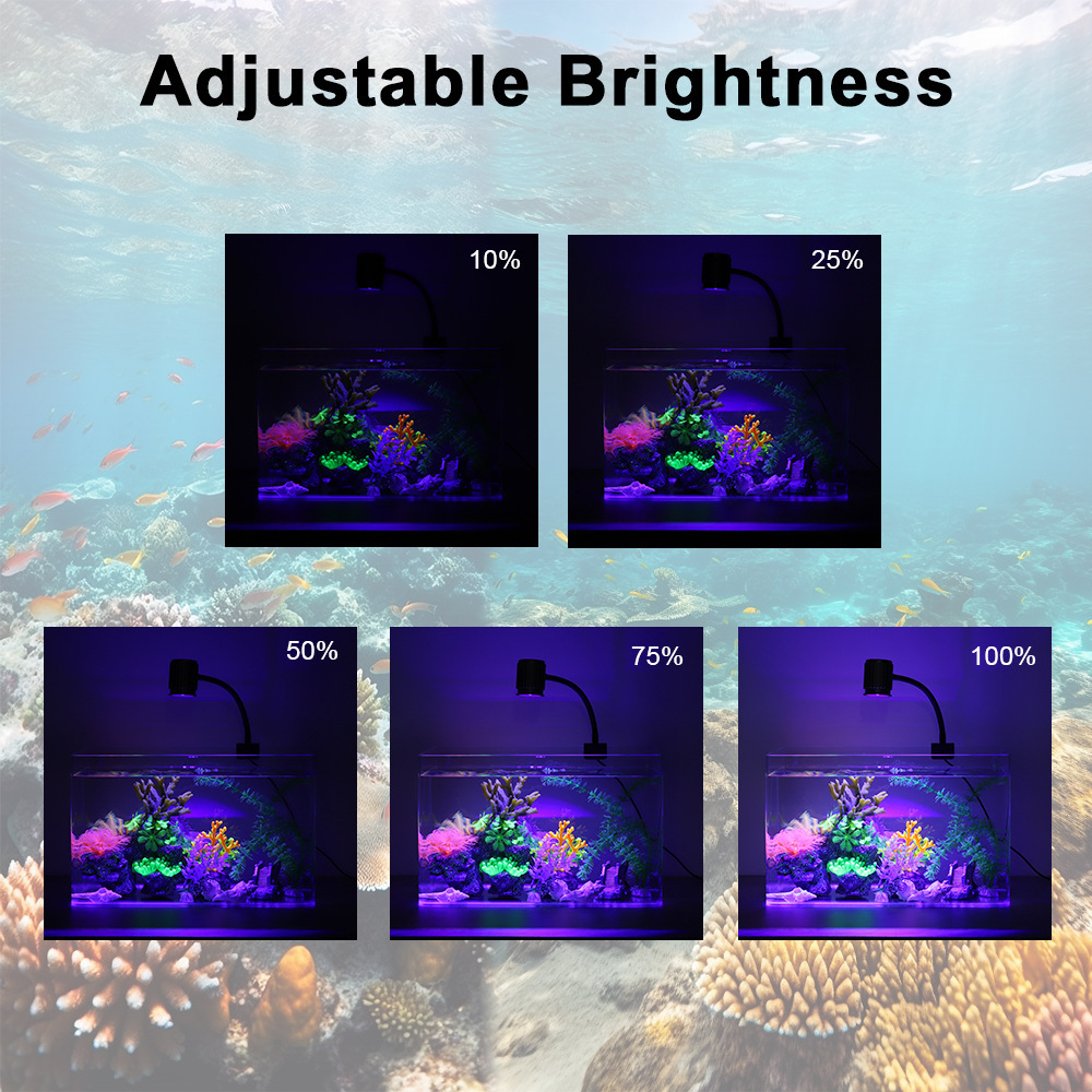 LED-Aquariumbeleuchtung Vollsp – Marine Aquarium Led Lights Bewertung und Preis