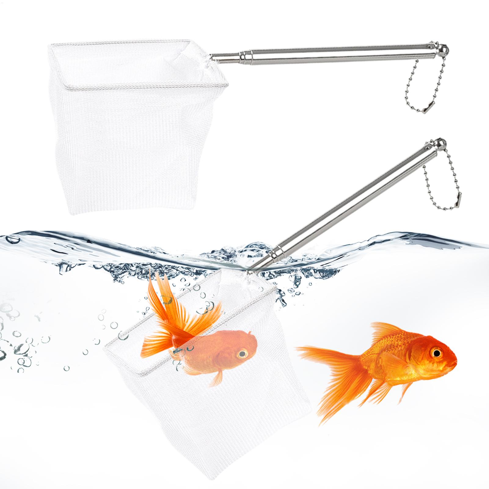 2er-Set kleiner Fischkescher m – Aquarium Marineland Bewertung und Preis