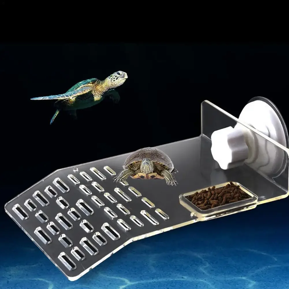 Schildkröten-Dock-Plattform mi – Aquarium Marineland Bewertung und Preis