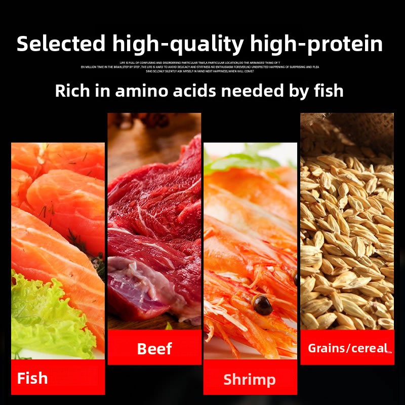 SUNSUN Koi Zierfisch Goldfisch – Marine Aquarium Chiller Bewertung und Preis